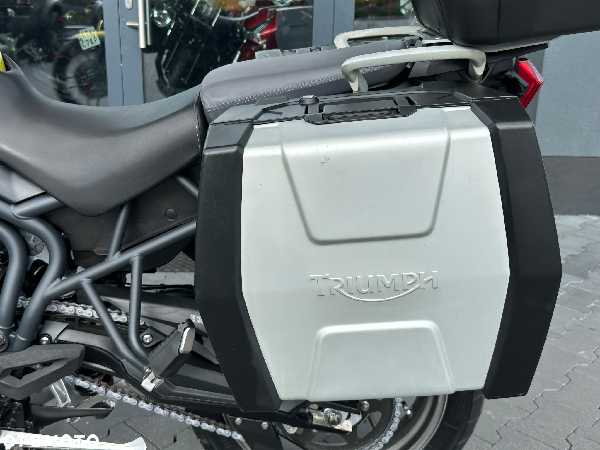 Triumph Tiger - 31