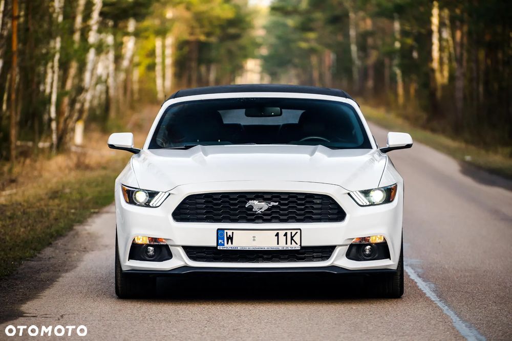 Ford Mustang Cabrio 2.3 Eco Boost - 3