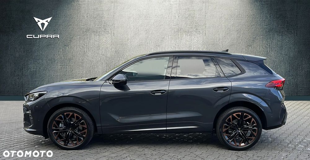 Cupra Terramar 2.0 TSI 4Drive DSG - 3