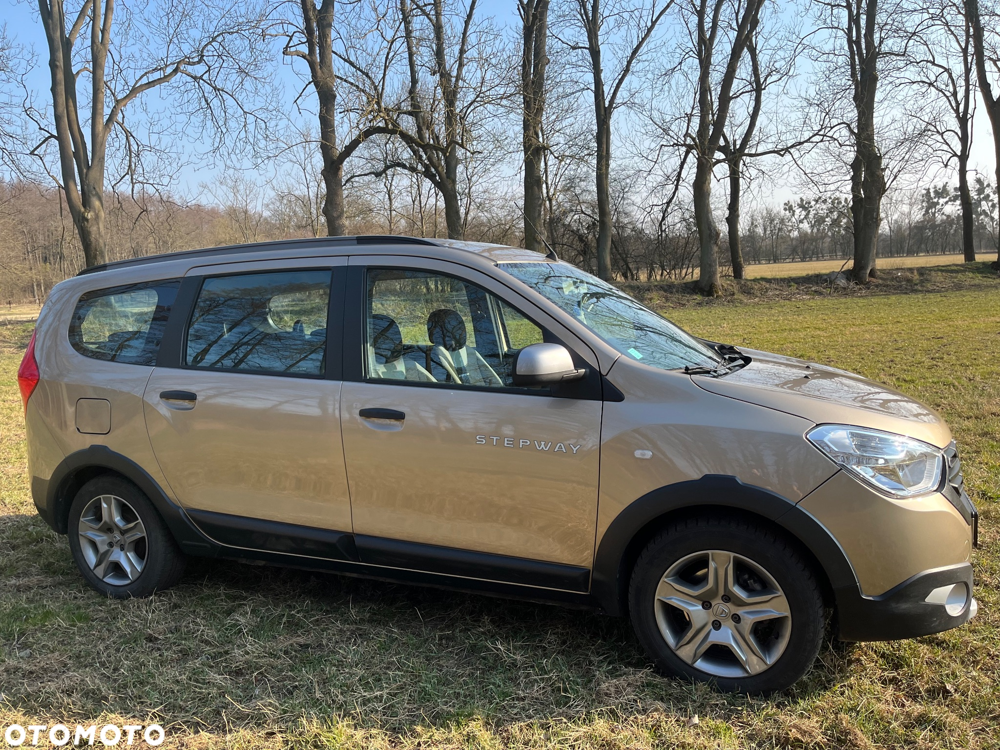 Dacia Lodgy Blue dCi 115 (7-Sitzer) Stepway Selection Blue - 5