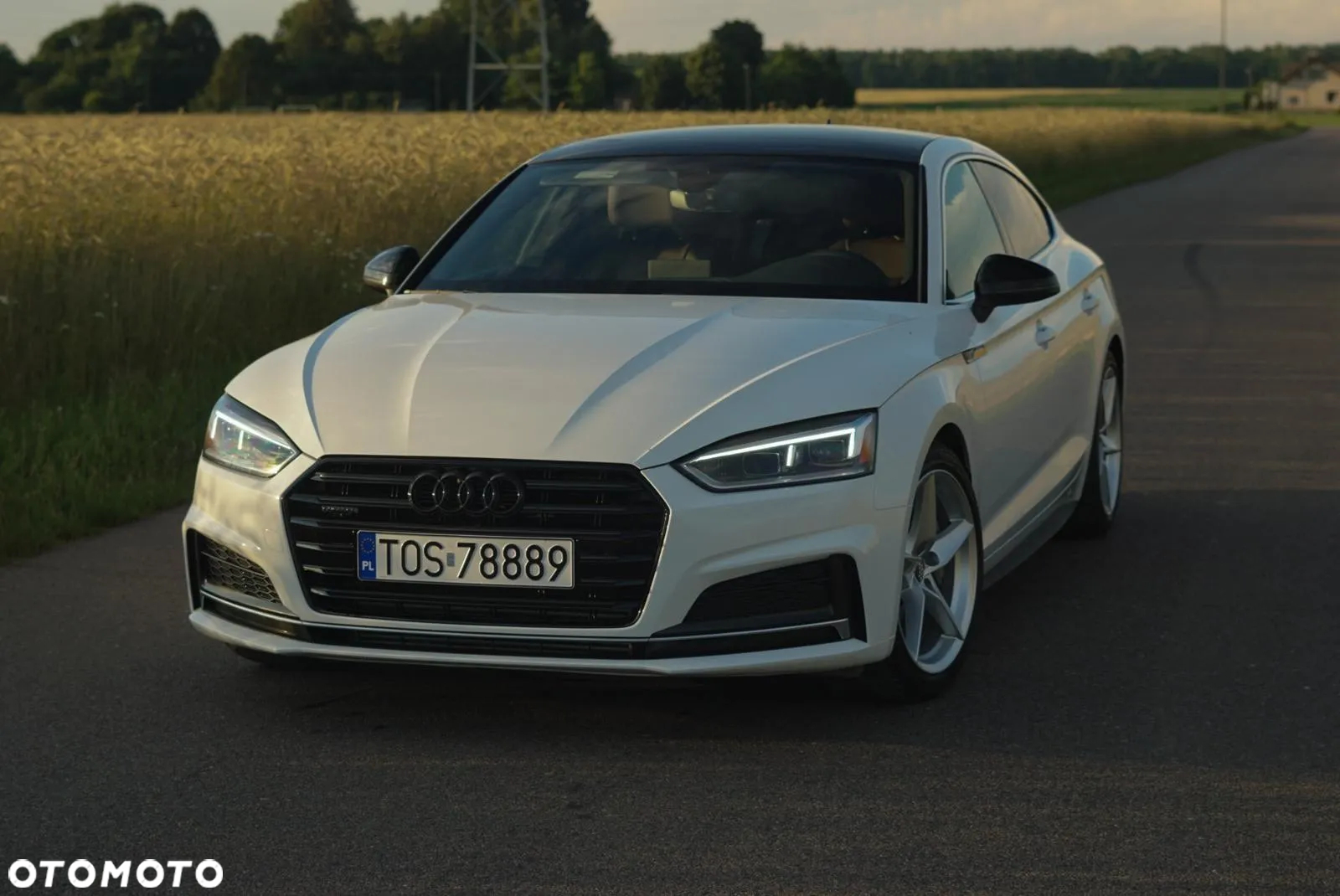 Audi A5 Sportback 2.0 TFSI quattro S tronic - 14