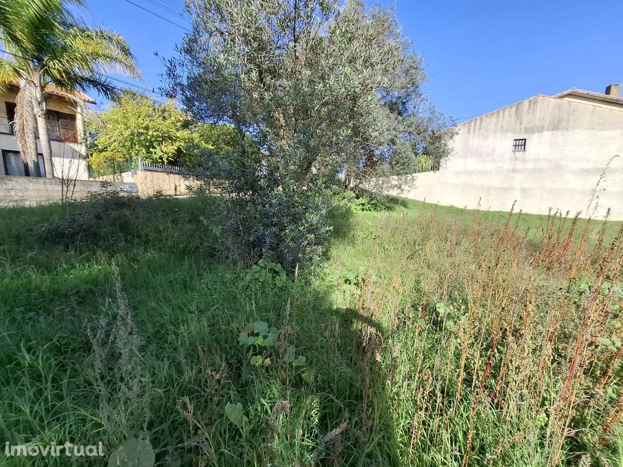 Terreno Urbanizável em Sangalhos | 1.600m² | Frente de 22m - Grande imagem: 2/9
