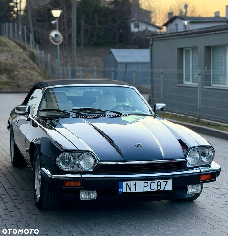 Jaguar XJS - 6