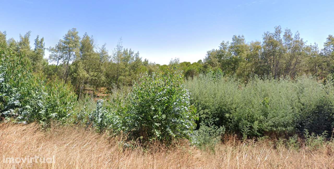 Herdade Raco de Baixo - S. Luís Nascente - Grande imagem: 4/5