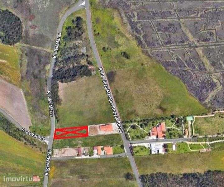 Terreno em Vagos/Aveiro - Grande imagem: 5/8