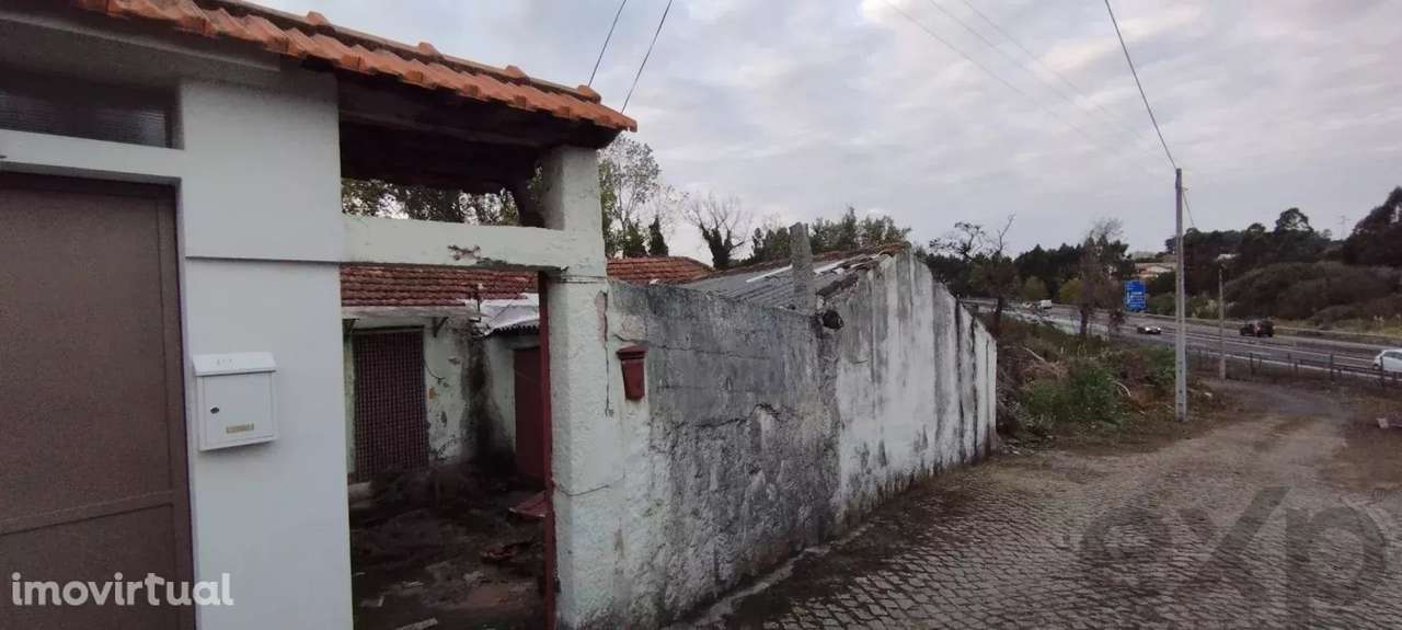 QUINTINHA COM CASA PARA REMODELAR EM S FELIX DA MARINHA - Grande imagem: 3/29