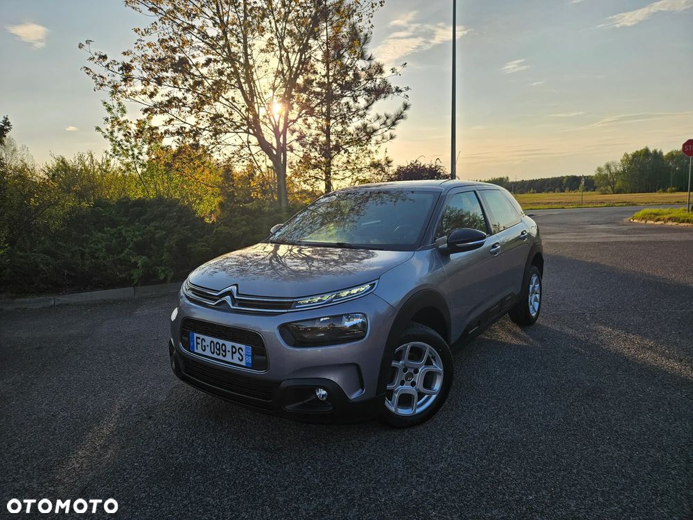 Citroën C4 Cactus 1.5 BlueHDi Shine Pack - 3
