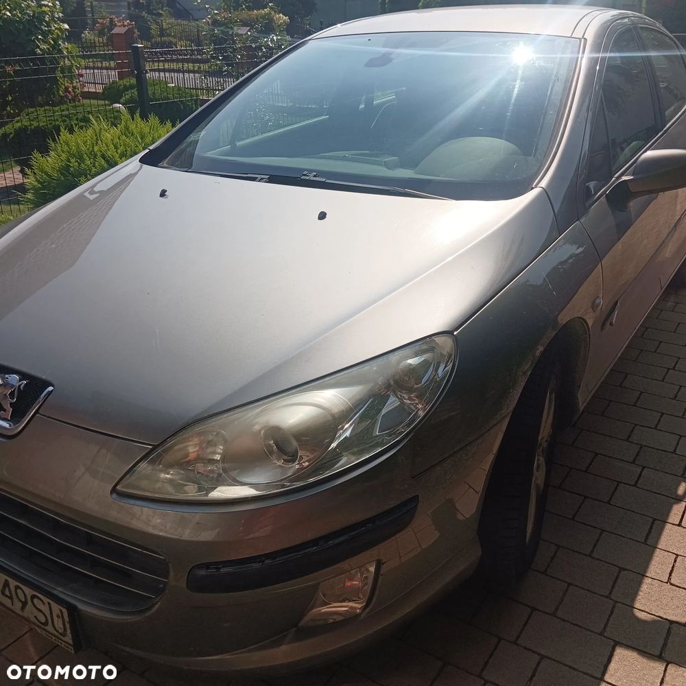 Peugeot 407 - 1