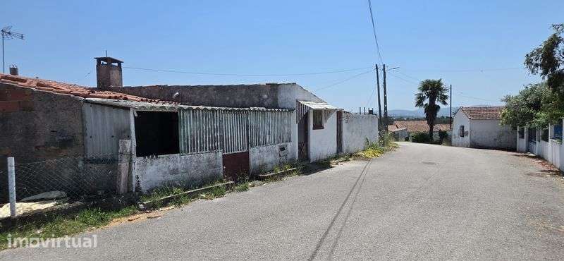 Moradia T3 Terrea com terreno - Grande imagem: 5/11