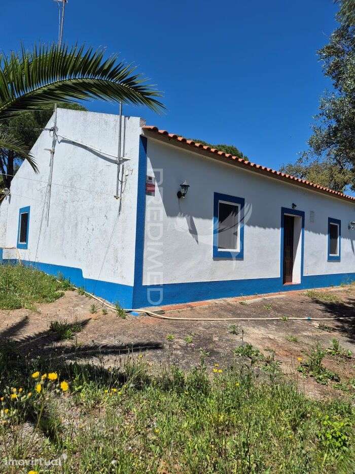 Monte Alentejano em Fonte Boa de Baixo - Grande imagem: 2/21