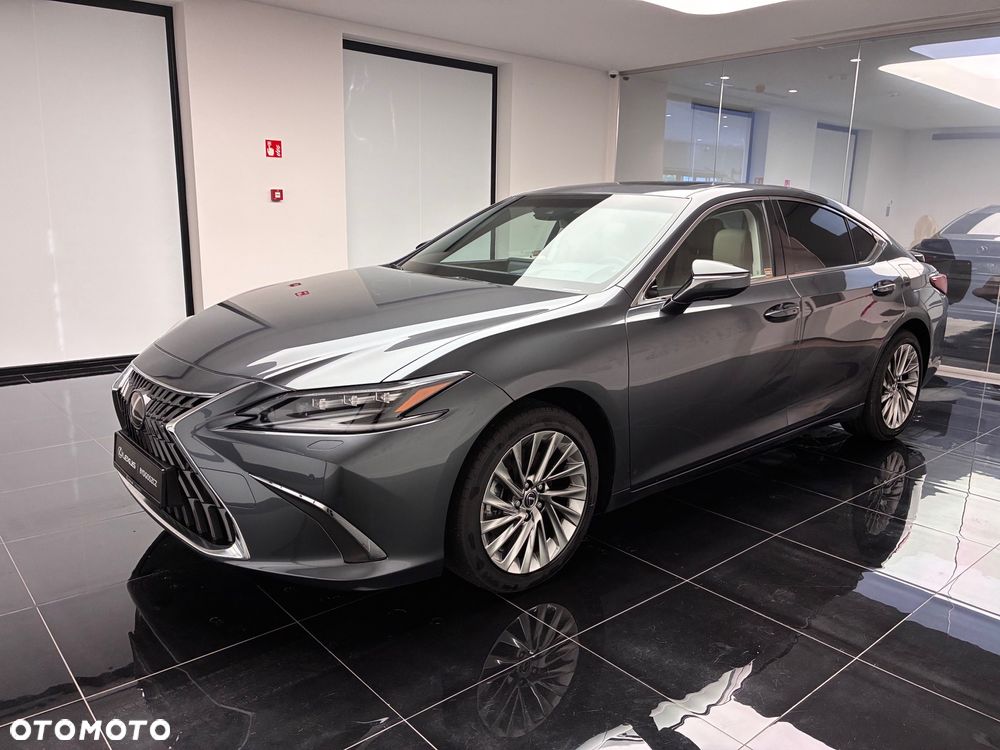 Lexus ES 300h Omotenashi - 12