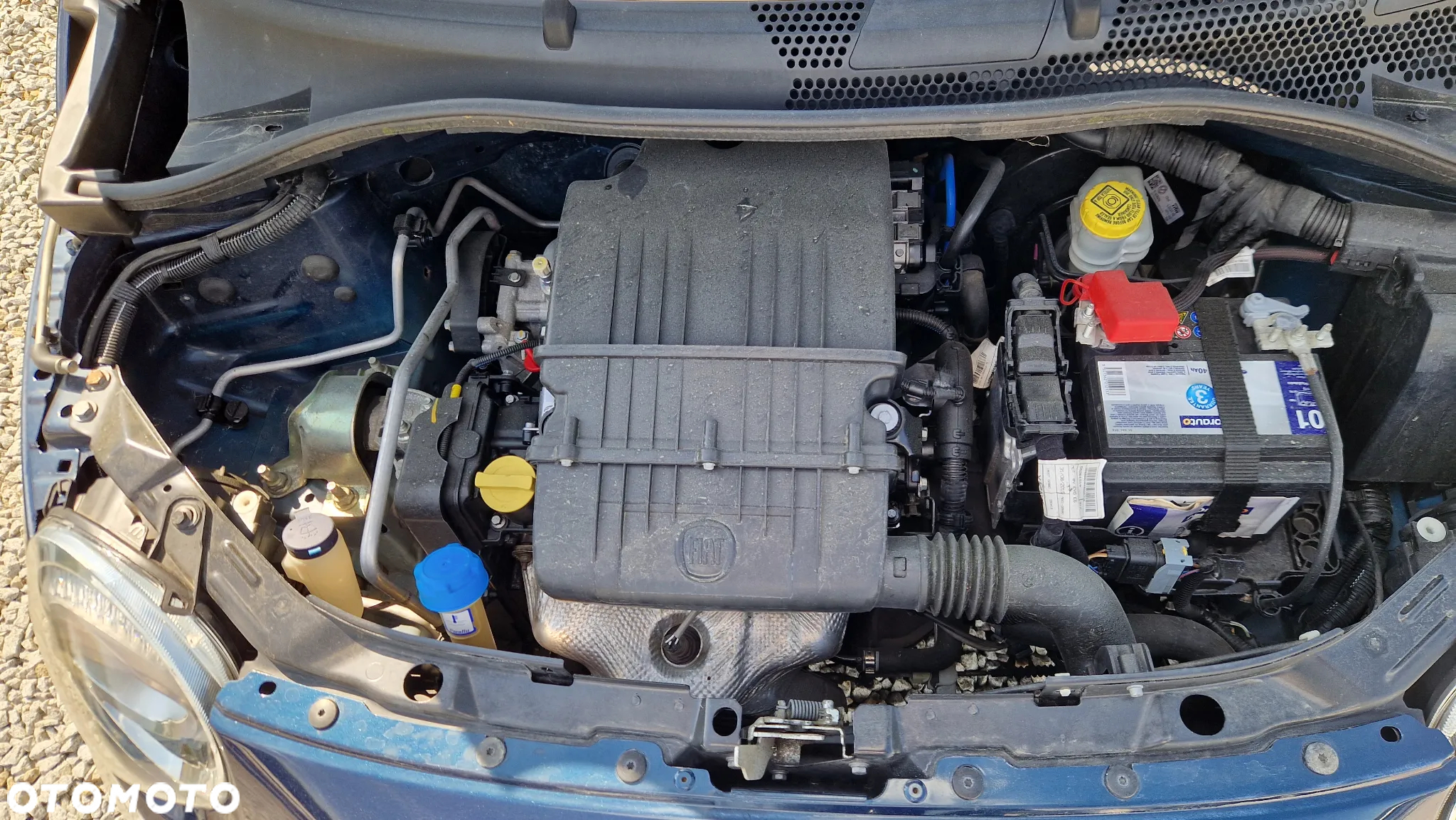 Fiat 500 1.2 8V Start&Stopp Collezione - 10