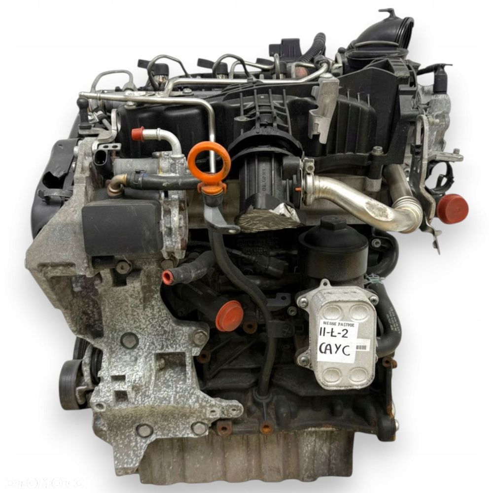 SILNIK CAY VW Golf VI Polo V Touran II 1T Passat B6 B7 1.6 TDI diesel CAYC - 4