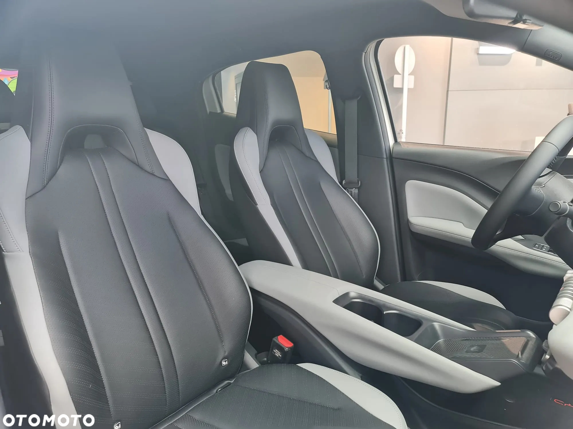 BYD Dolphin Surf - 17