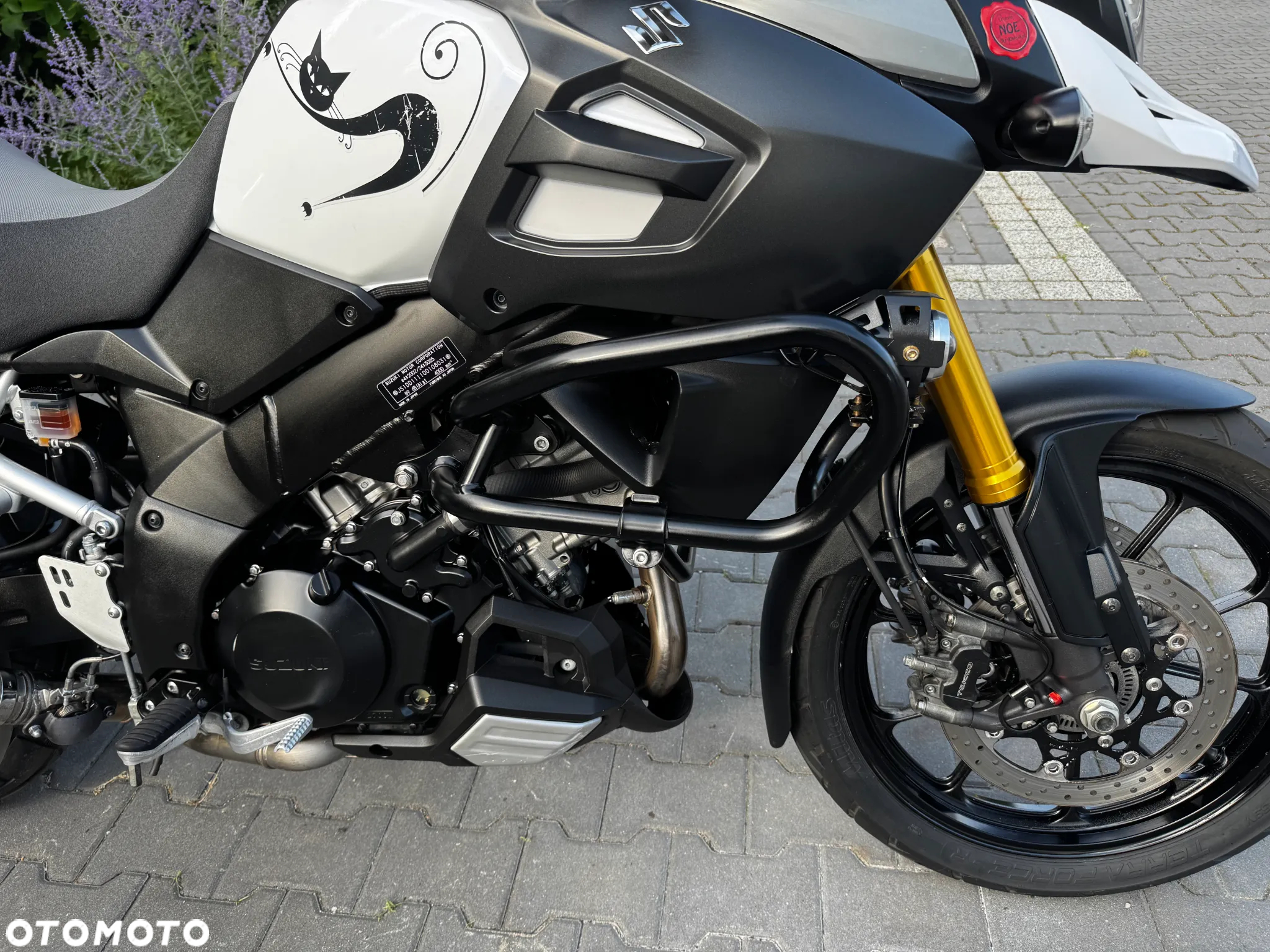 Suzuki V-STROM - 14