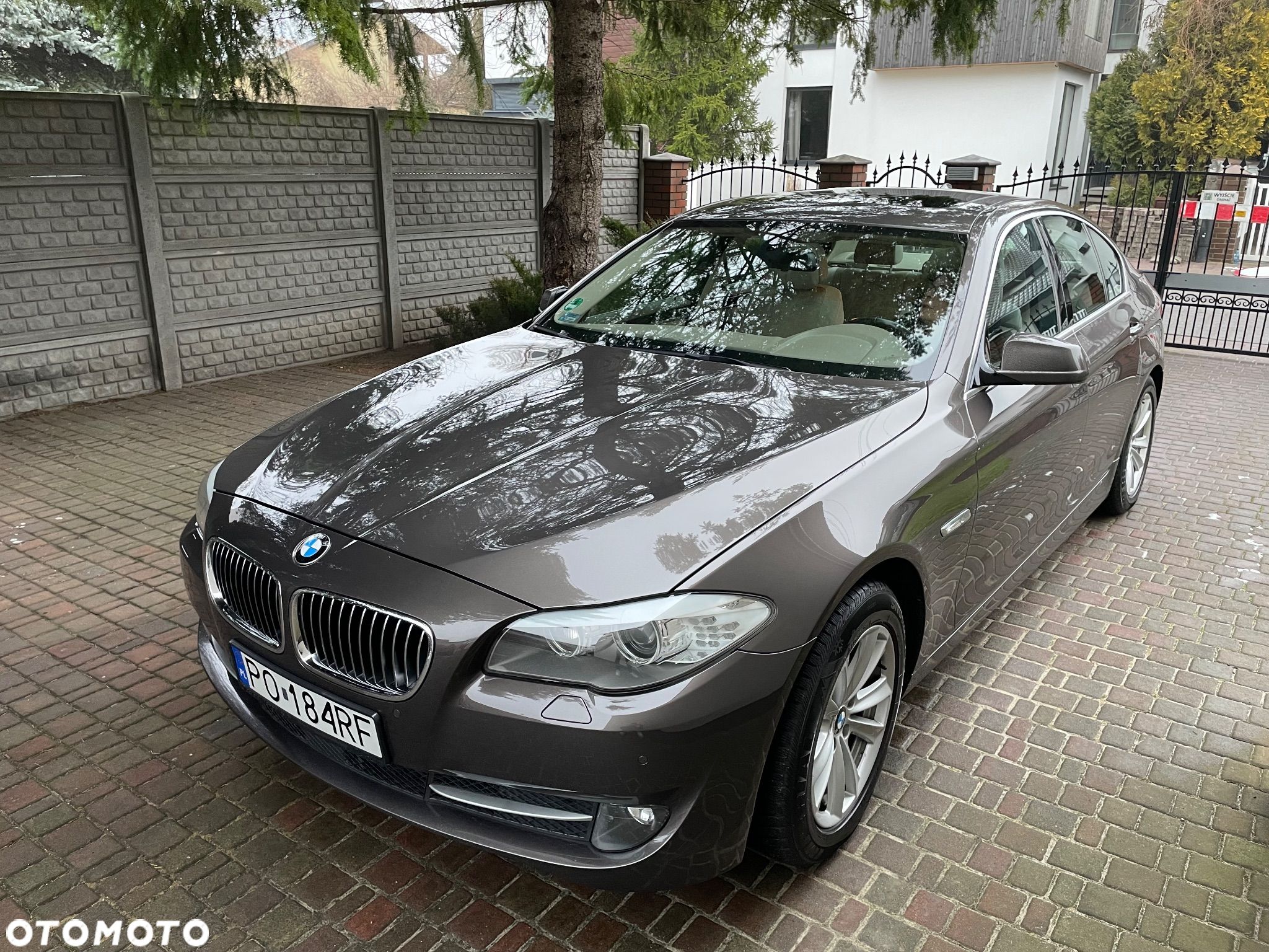 BMW Seria 5 - 1