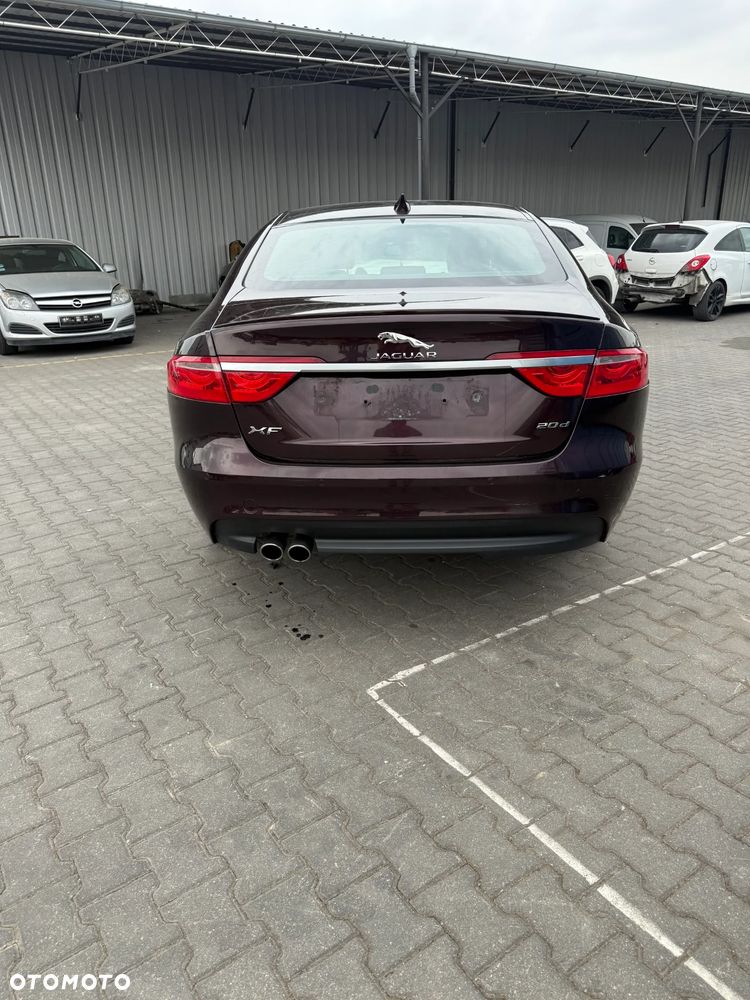 JAGUAR XF X260 2015-2020 ROK 2.0 179KM 204DTD CBR AURORA RED NA CZĘŚCI WSZYSTKIE CZĘŚCI - 5