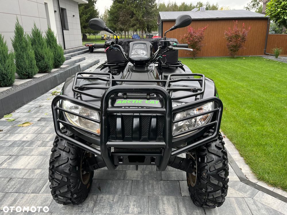 Arctic Cat Inny