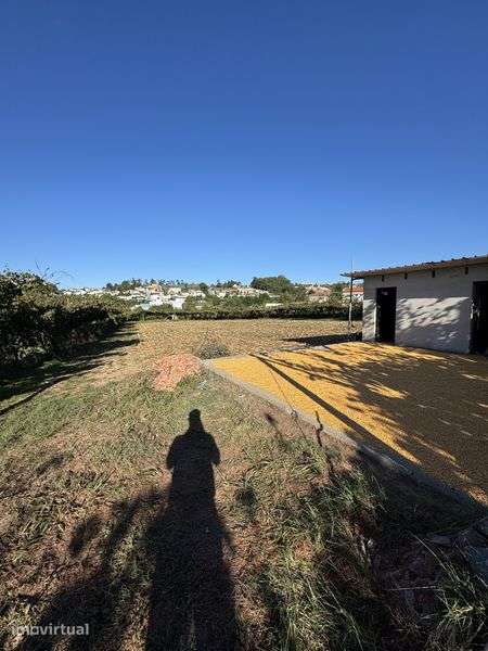 Terreno 3.000 m² para Arrendamento – Aveleda, Lousada - Grande imagem: 2/3