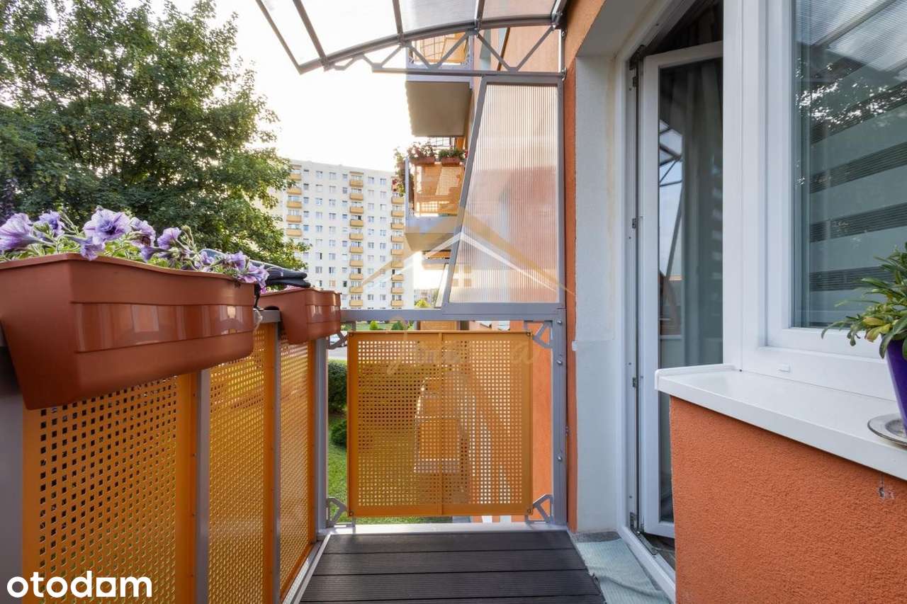Mieszkanie 2 pokojowe z balkonem