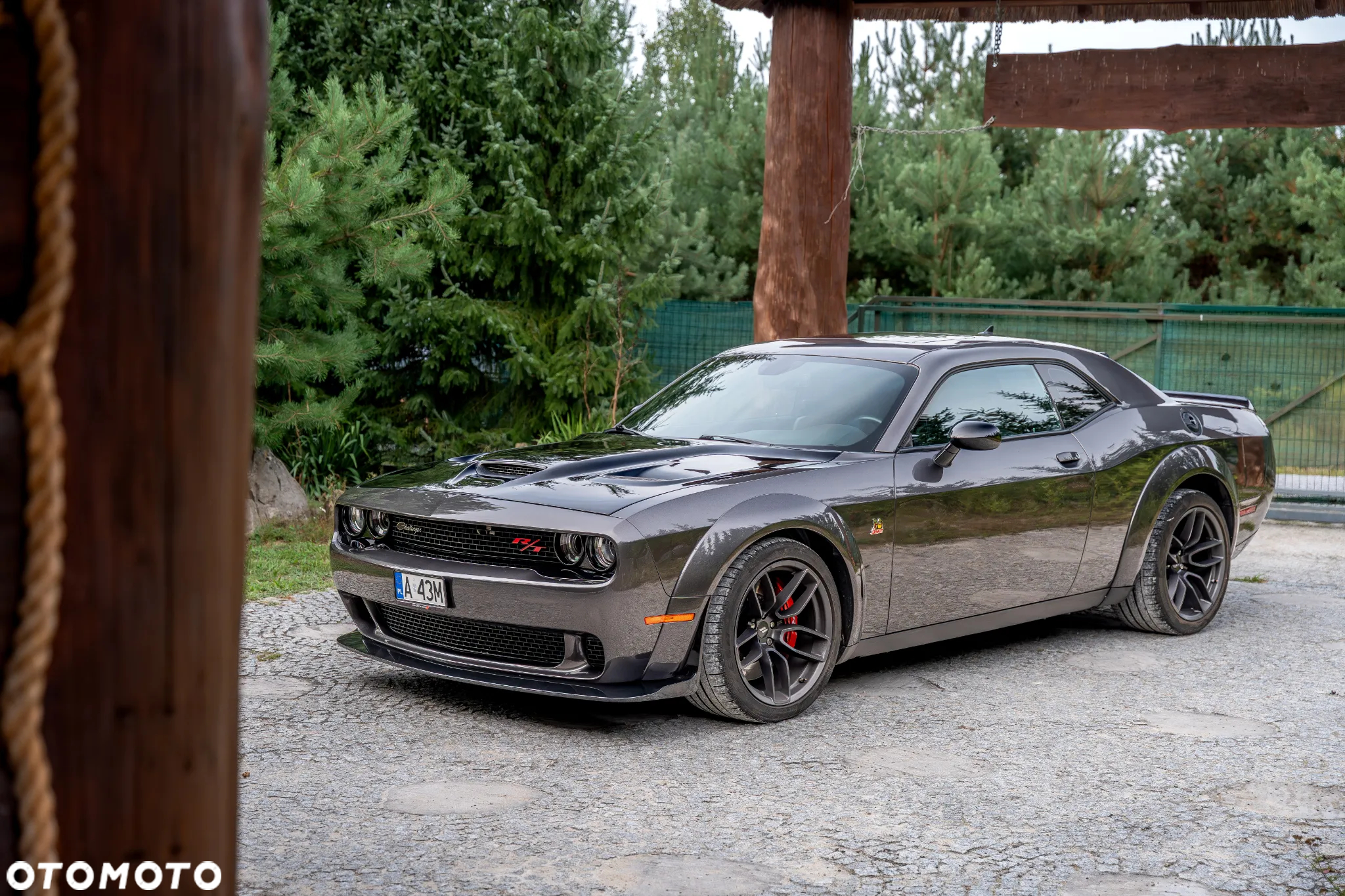 Dodge Challenger 6.4 Scat PackWidebody - 4