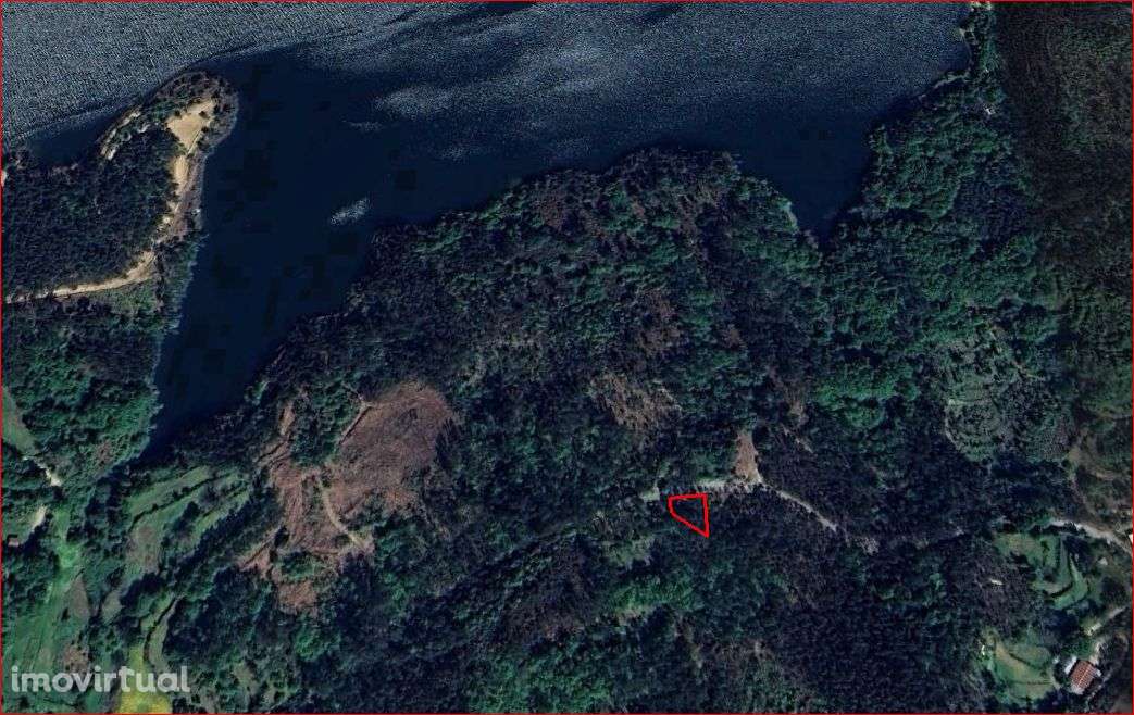 Pinhal – Oliveira de Frades - Grande imagem: 2/11