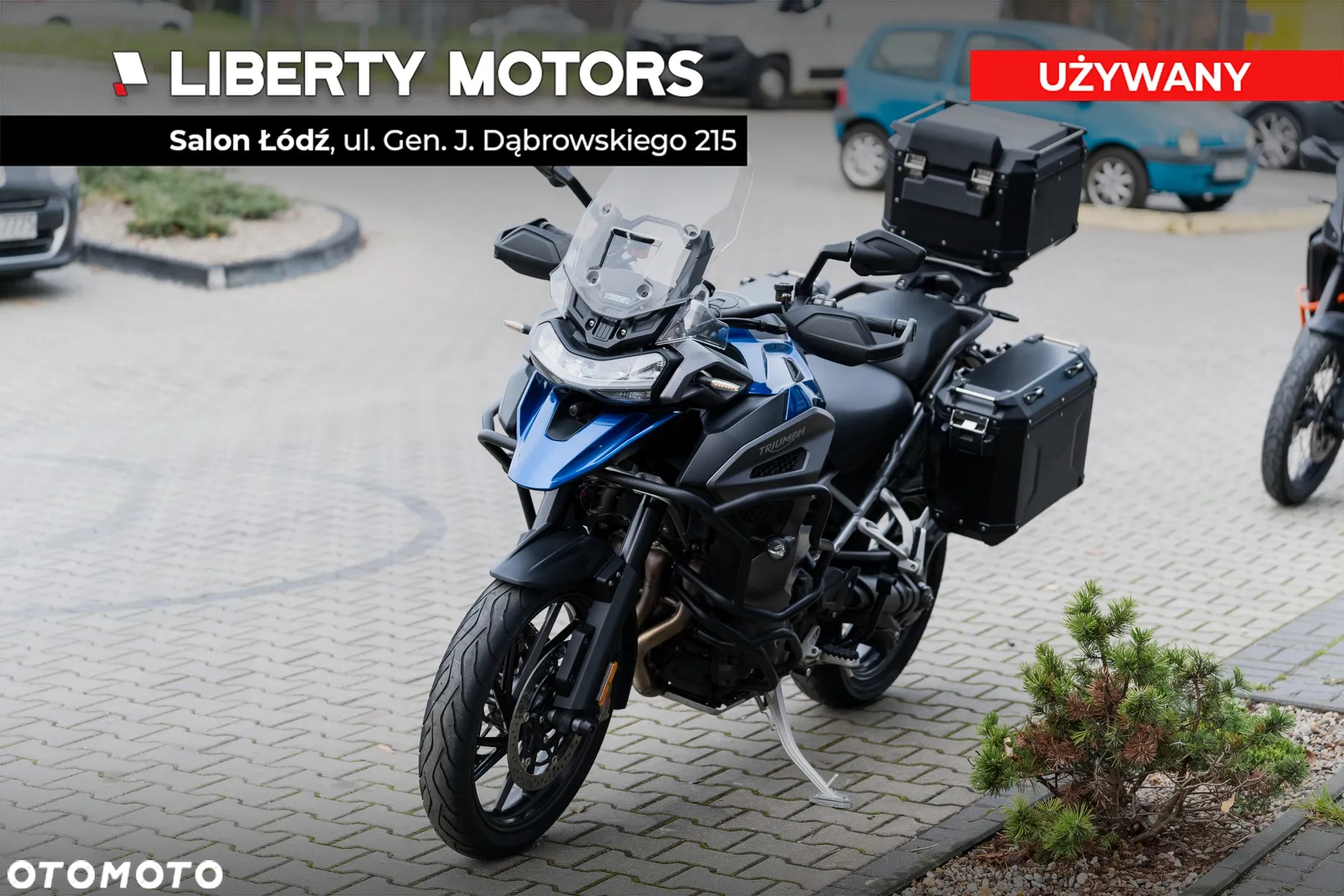 Triumph Tiger - 6