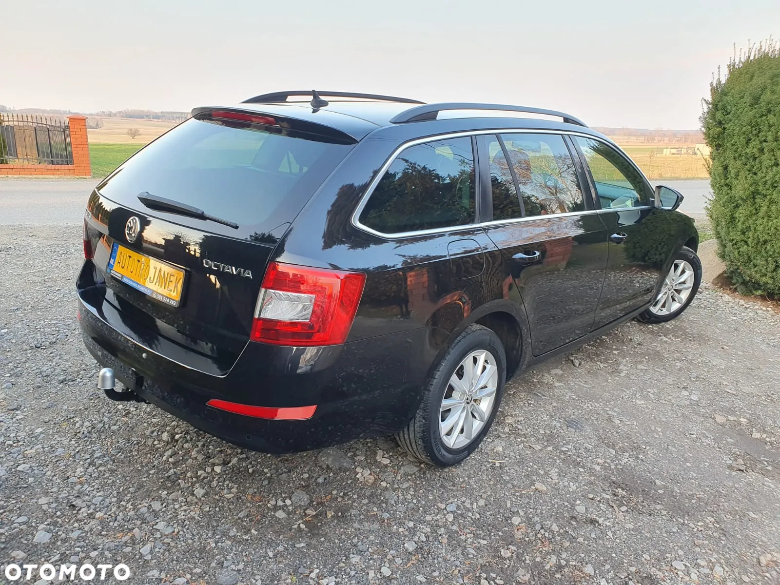 Skoda Octavia 1.6 TDI Classic - 6
