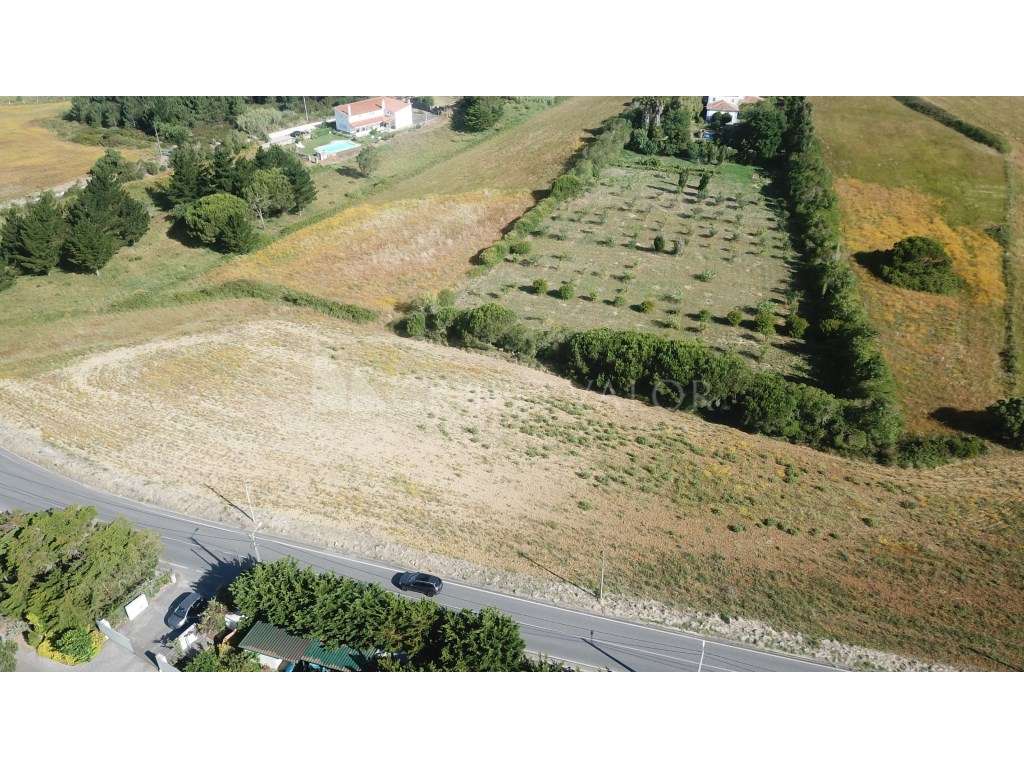 Terreno Rústico com 23.680m2, Janas - Sintra - Grande imagem: 5/9