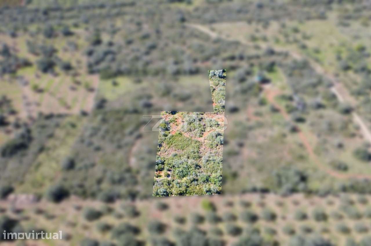Terreno Rústico com 2.820 m² na zona da Franqueira - Grande imagem: 3/15