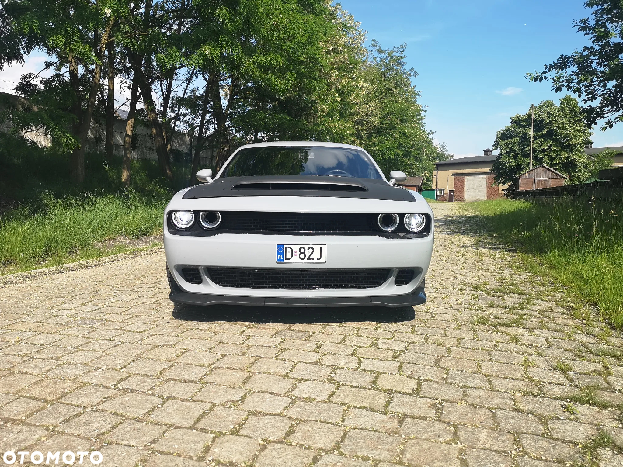 Dodge Challenger - 12
