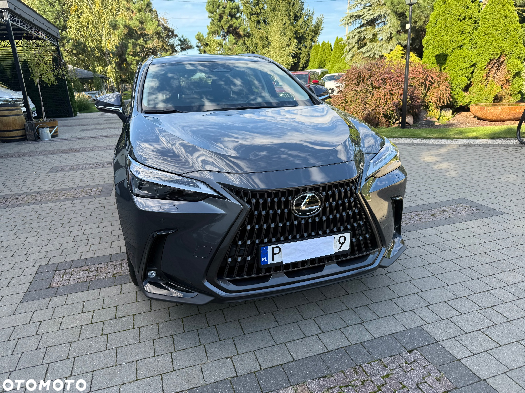 Lexus NX 350h Prestige AWD - 8