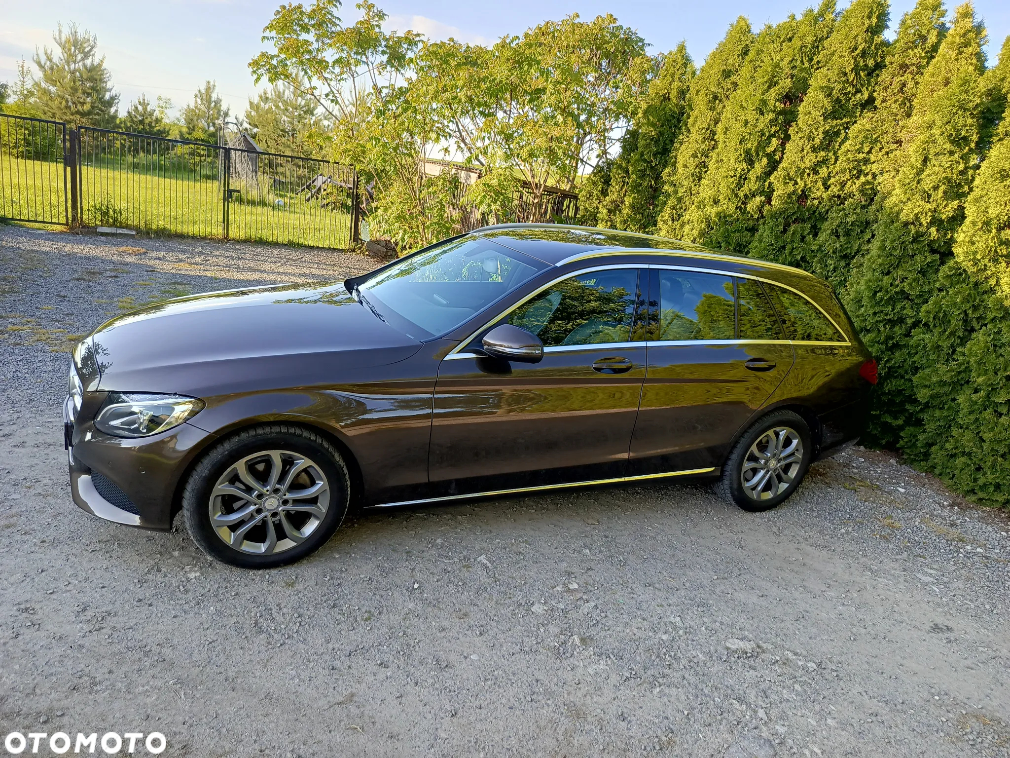 Mercedes-Benz Klasa C 200 (BlueTEC) d T - 24
