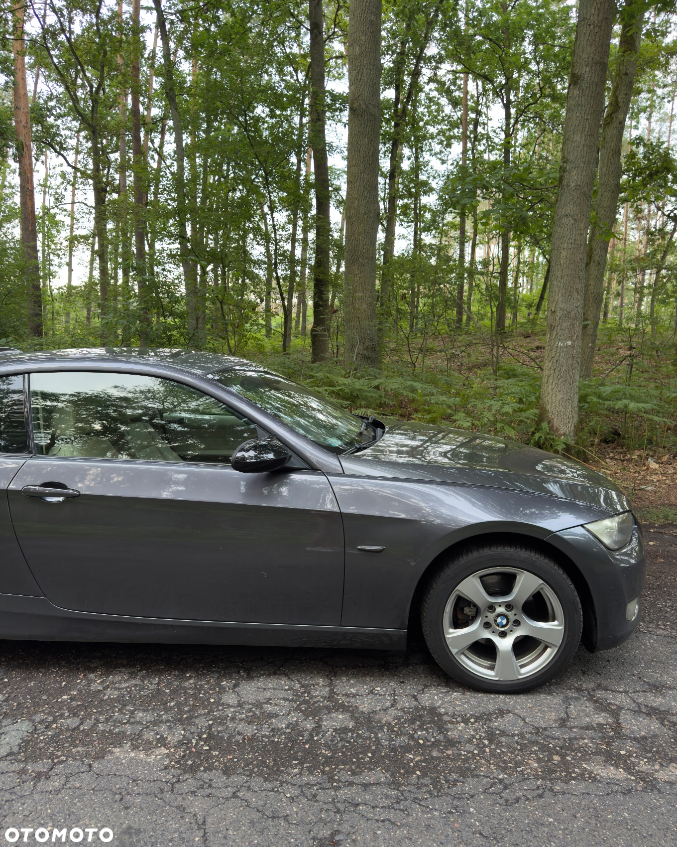 BMW Seria 3 - 15