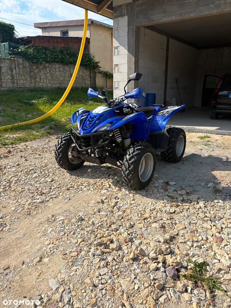 Yamaha Wolverine - 2