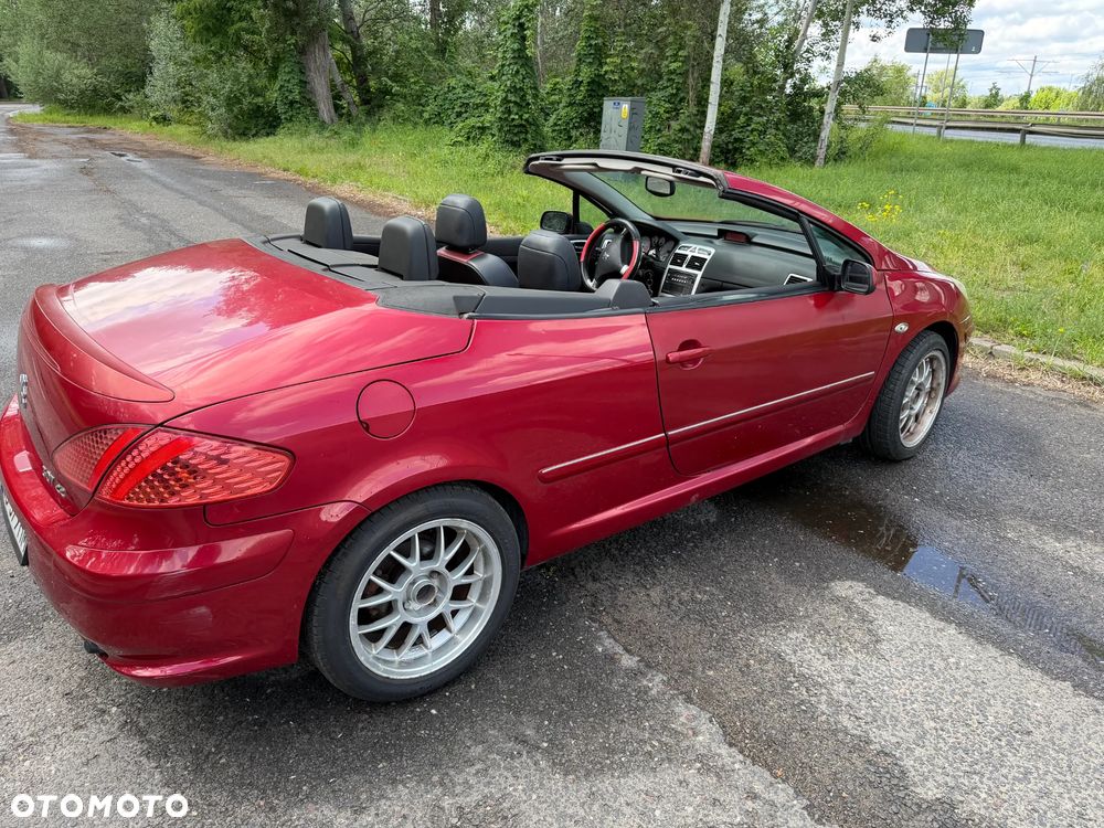 Peugeot 307 CC 2.0 - 8