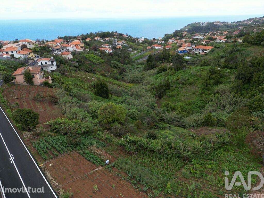 Terreno em Arco de São Jorge de 6820,00 m2 - Grande imagem: 2/11