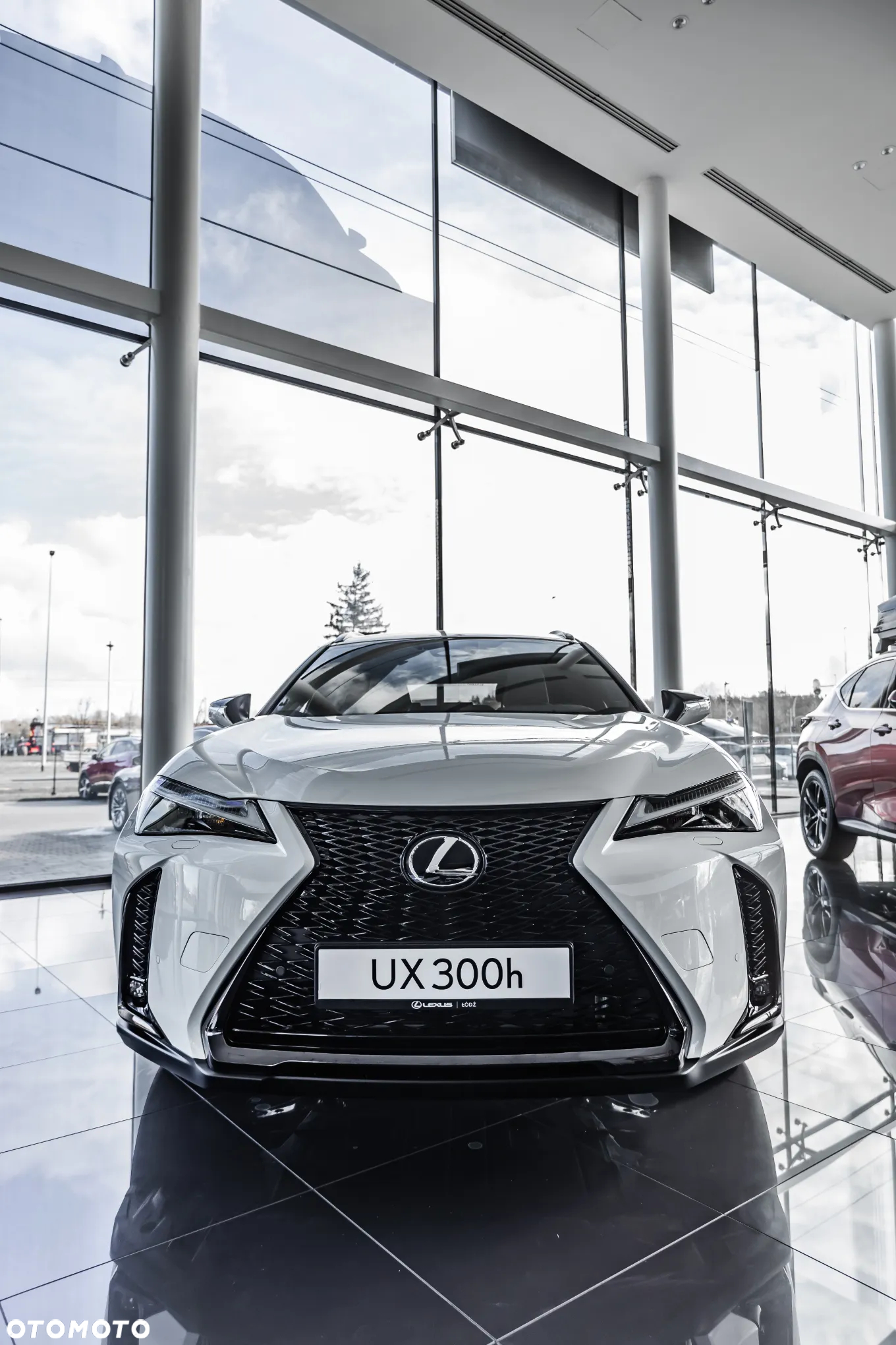 Lexus UX 300h F Sport Design AWD - 3