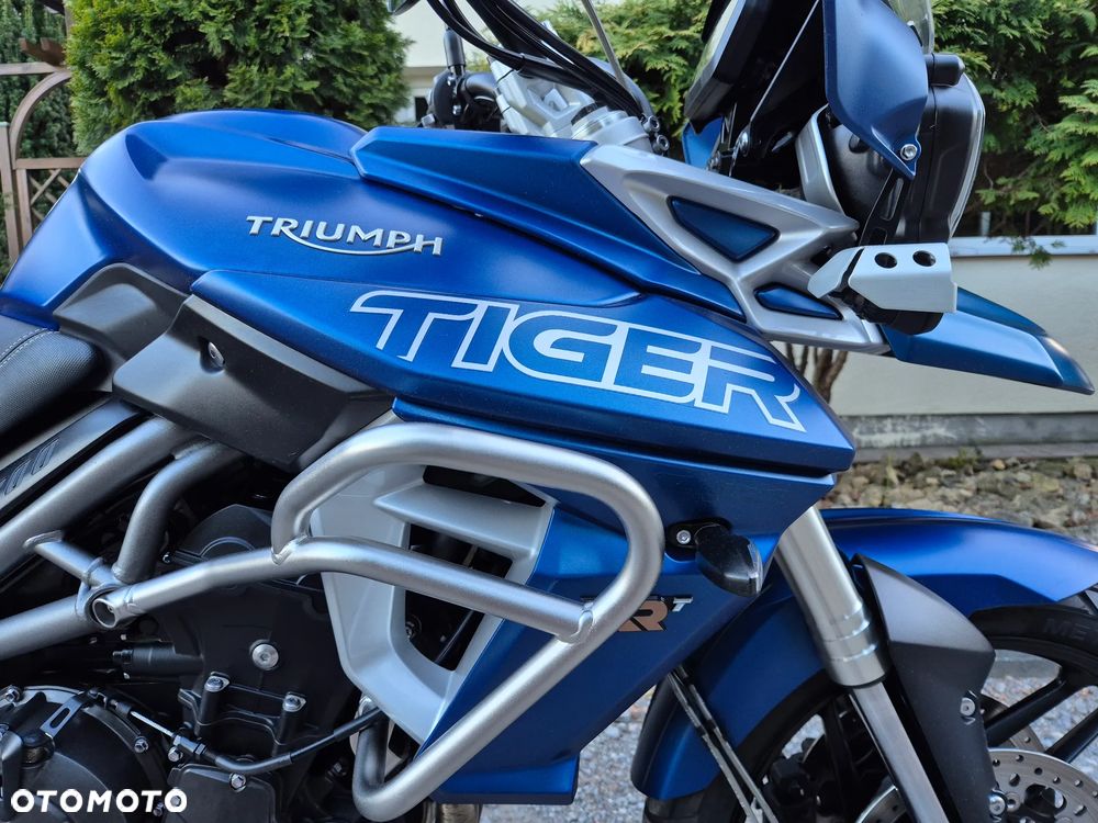 Triumph Tiger - 20