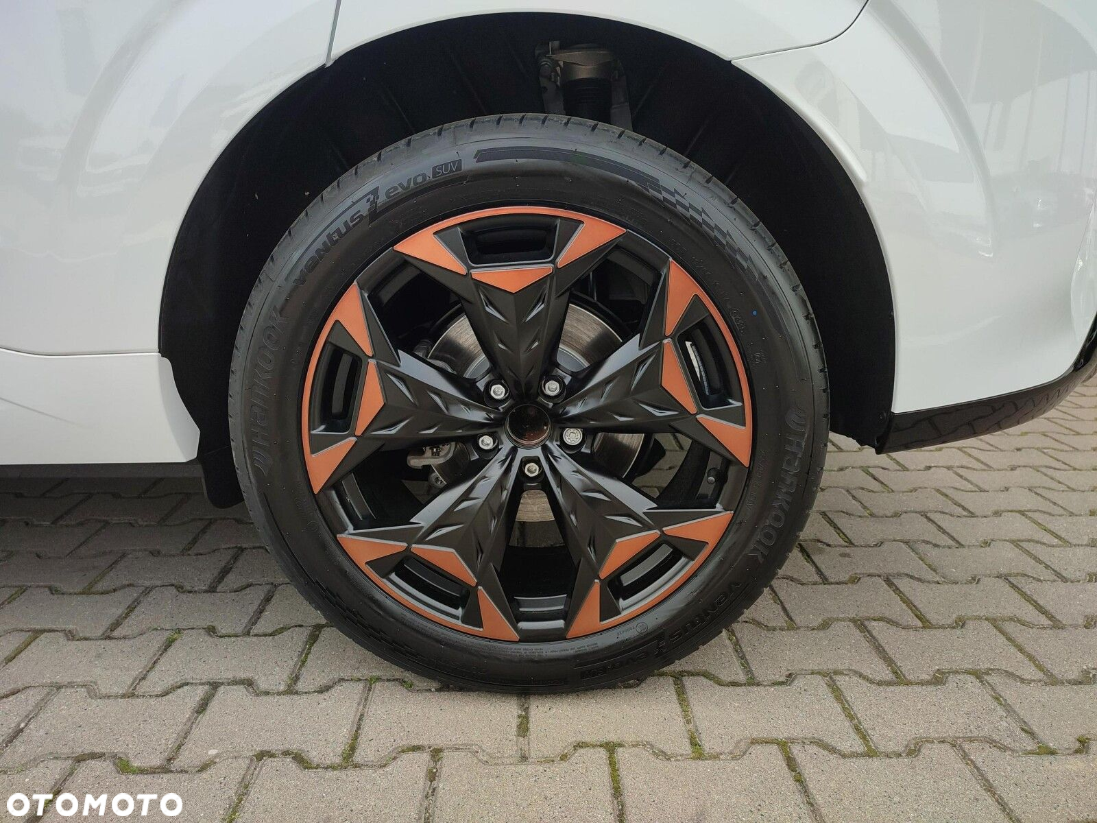 Cupra Terramar - 18