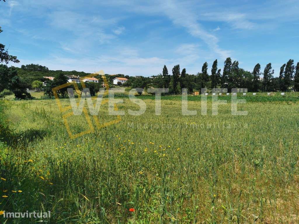 Terreno Rústico/ Agrícola de 3500m2 - Ericeira - Grande imagem: 2/17