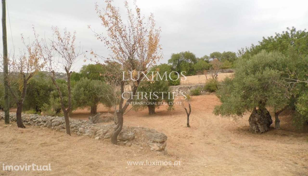 Terreno para venda, vistas mar, costa e serra, Loulé, Algarve - Grande imagem: 3/4