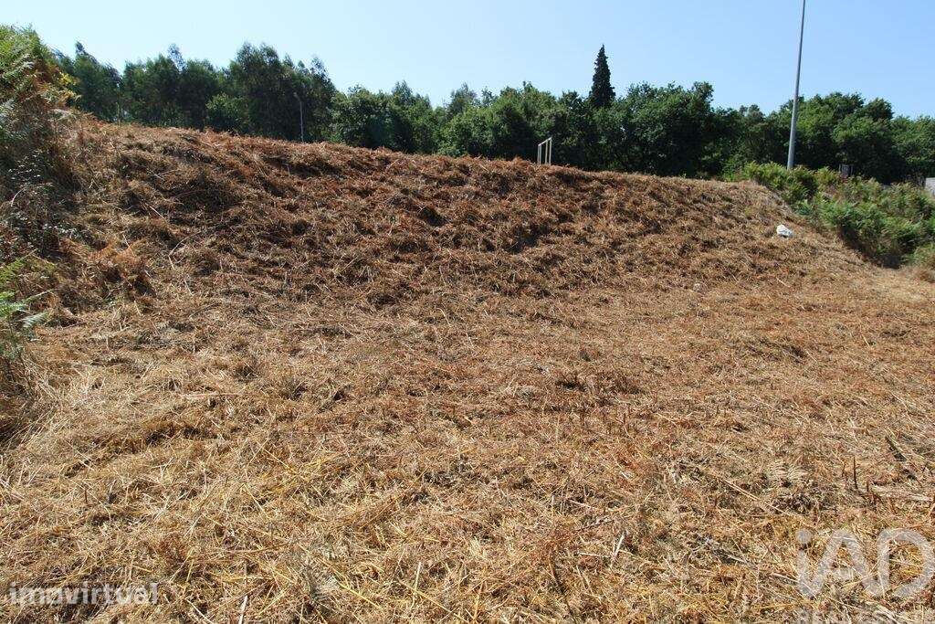 Terreno para construção em Ruivães e Novais - Grande imagem: 5/11