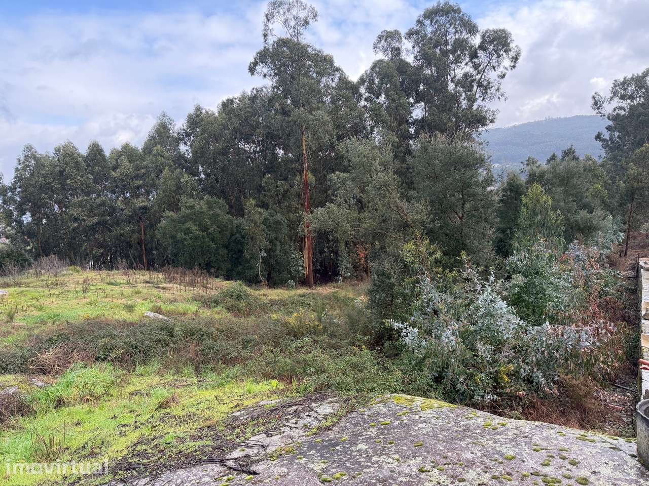 Terreno para construção 9000m2 Rebordões, junto à CITAST - Grande imagem: 3/5