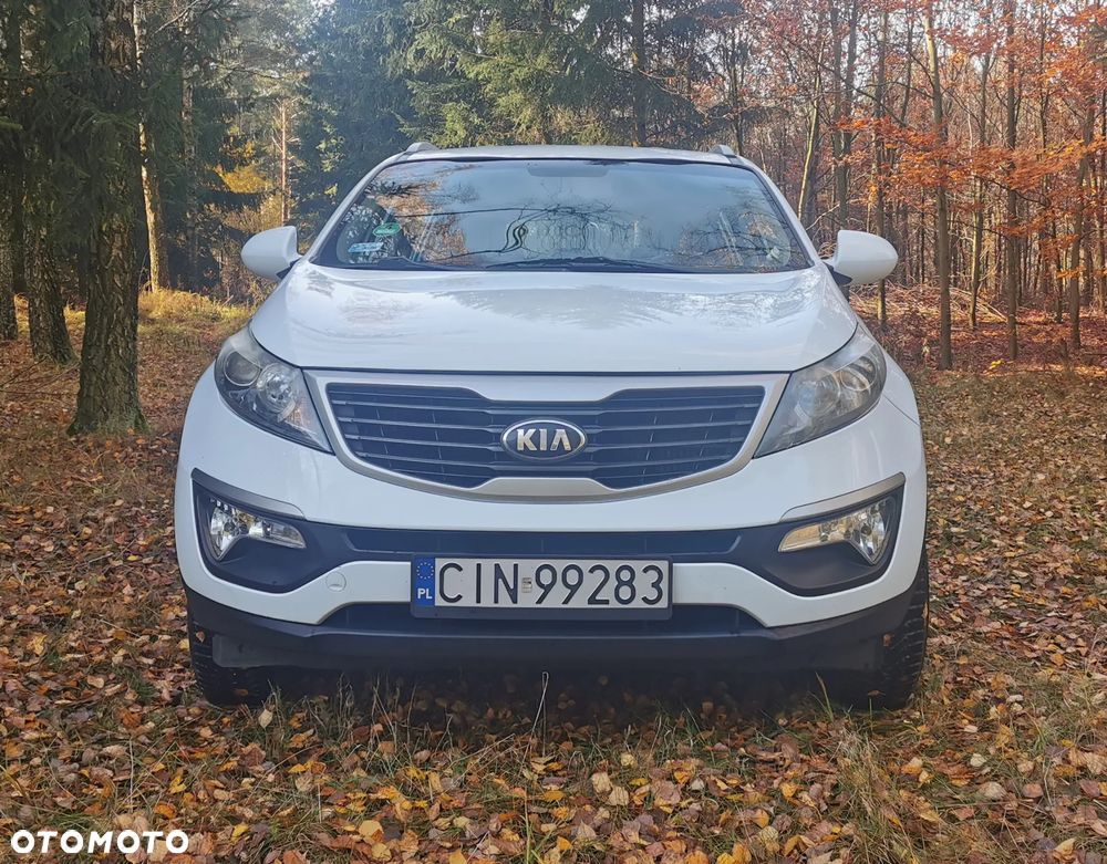 Kia Sportage - 6