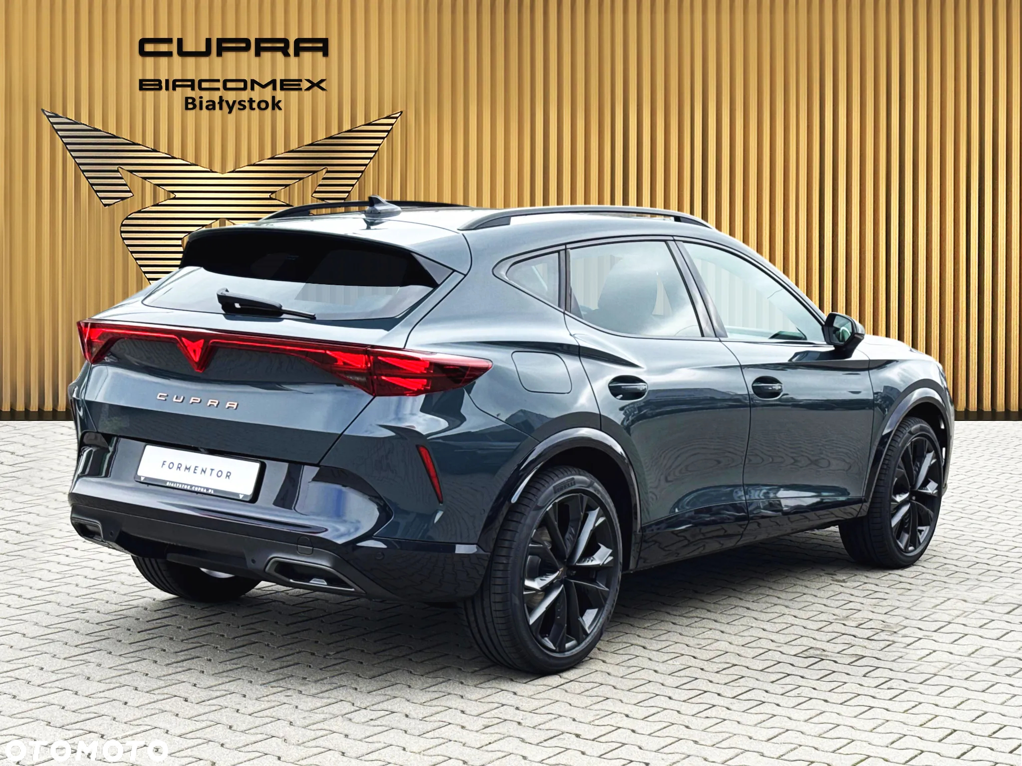 Cupra Formentor 2.0 TSI 4Drive DSG - 6