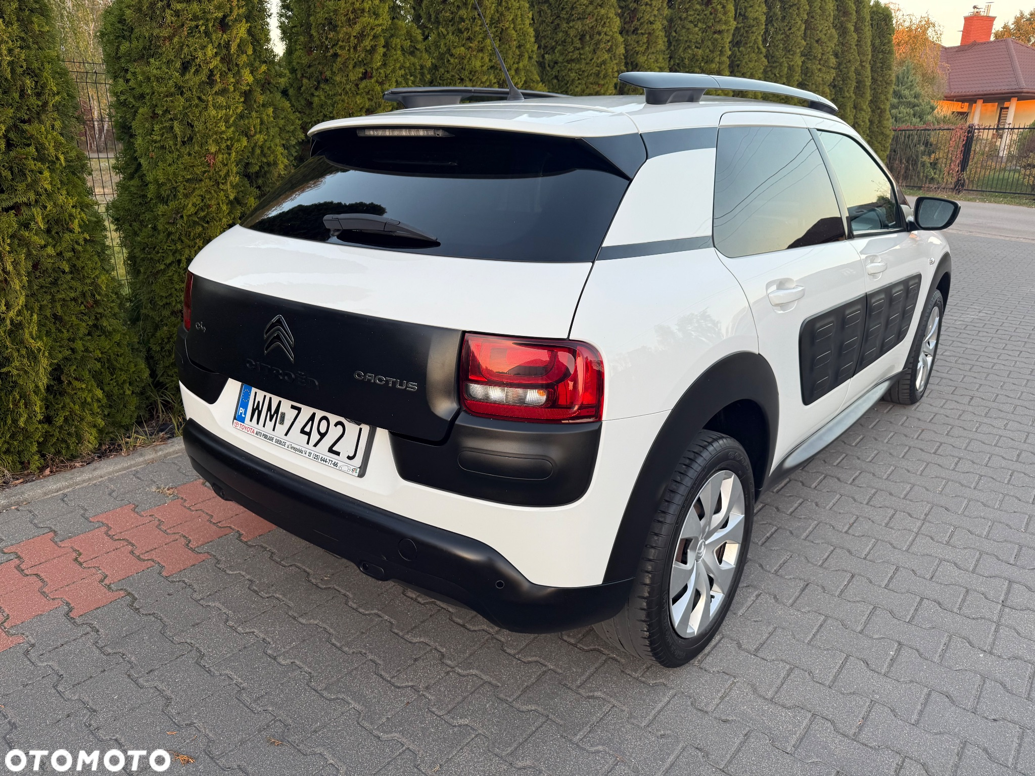 Citroën C4 Cactus 1.2 PureTech MoreLife - 3