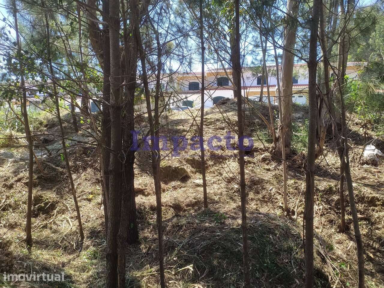 Lote de terreno em zona habitacional Monte Cesar Oliveira de Azeméis - Grande imagem: 2/4