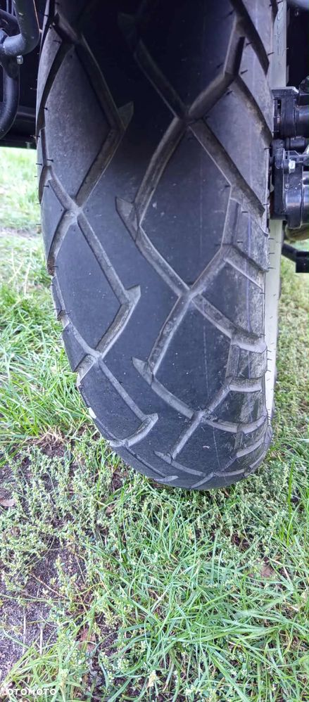 UM Renegade Commando - 5