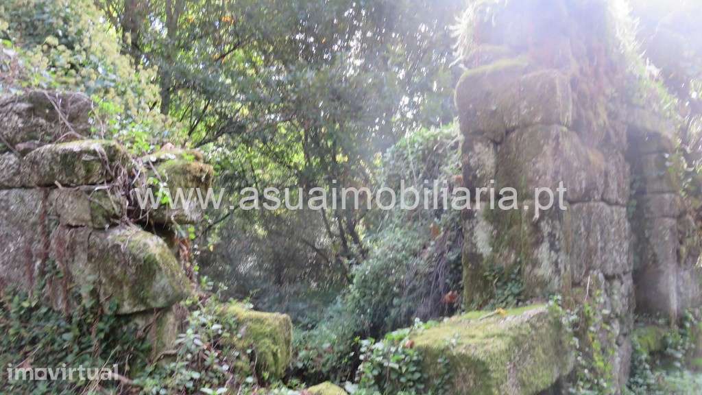 Terreno c/ Moinho p/ Restauro - Bouro Sta Maria - Grande imagem: 4/10